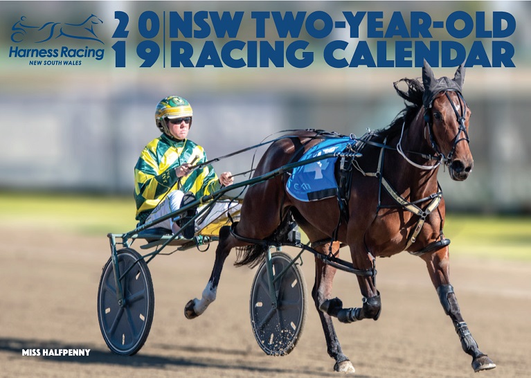 horse-racing-2022-calendars-sports-calendars